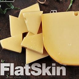 FlatSkin-Technologia Sealpac